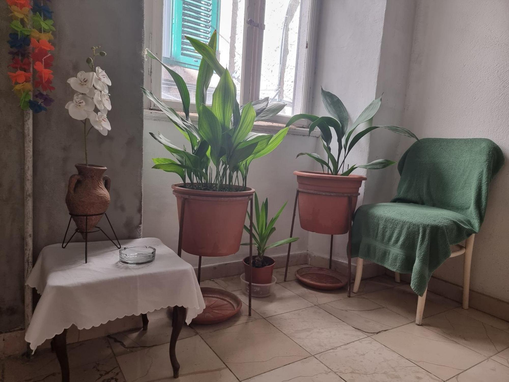 Center Room D16 In The Ancient Roman Palace 斯普利特 外观 照片